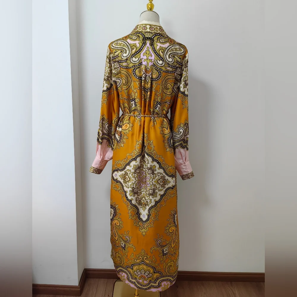 Alemais Clemenza Silk Shirtdress - Mult - Picture 11 of 16